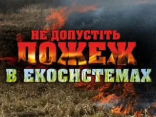 Рятувальники закликають громадян не допускати пожеж в природних екосистемах!