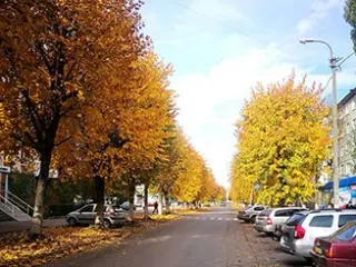 «Легені» міста: особливості догляду