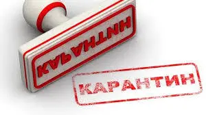 У Білій Церкві тимчасово вводяться карантинні заходи